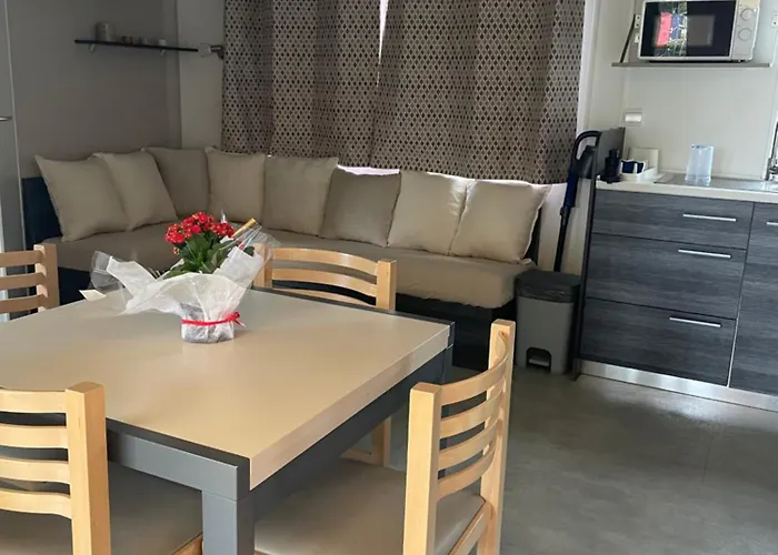 Mobil Home 6-8Pers - Le Lac Des Reves